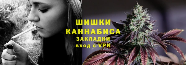 трава Магас